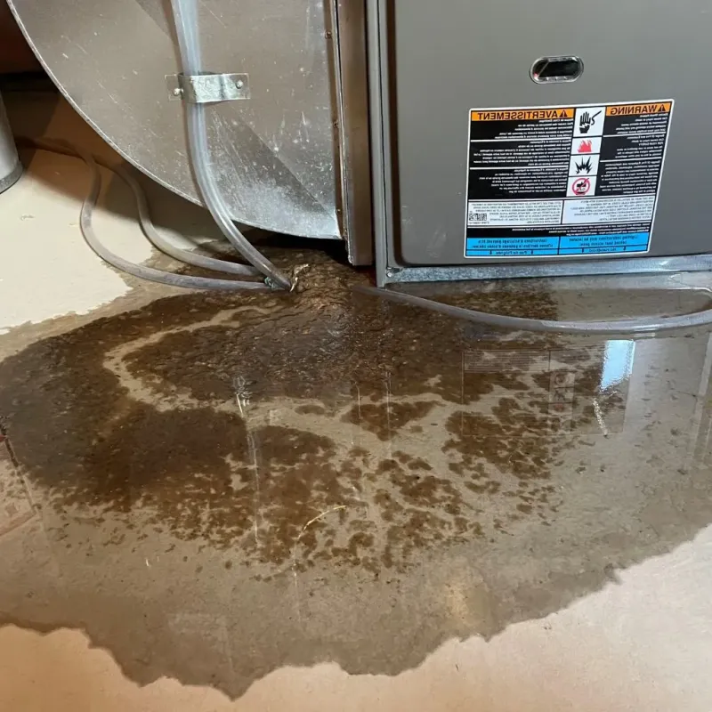 Pipe Burst and Leak Restoration in Lincoln County, NM